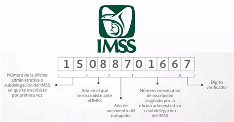 seguro social imss-1